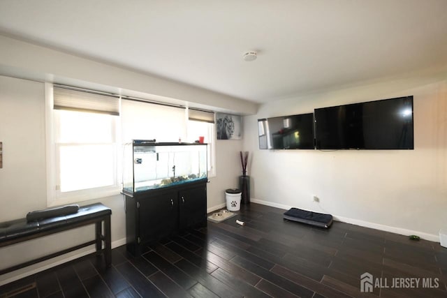 interior space featuring baseboards and wood finished floors