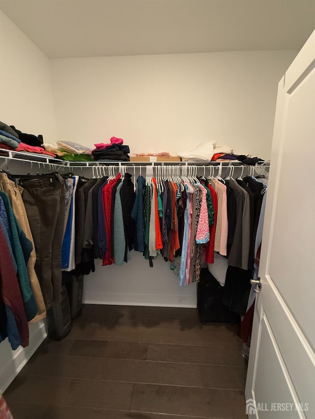 walk in closet featuring wood finished floors