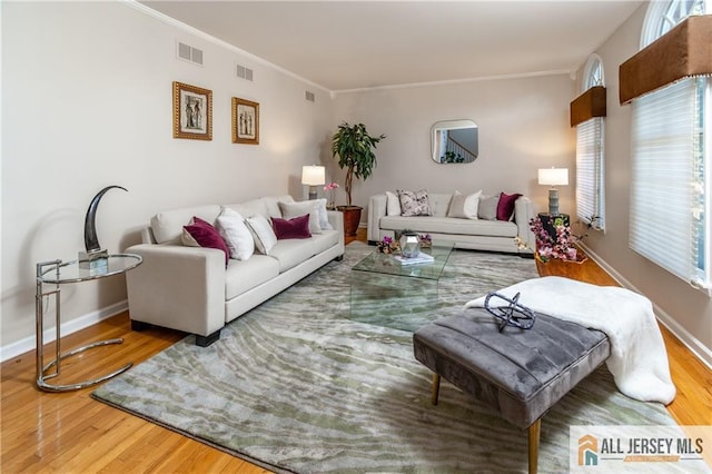 living room with crown molding and wood-type flooring