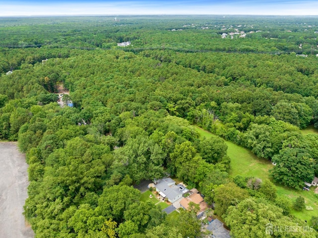 6 Diana Ln, Monroe, NJ 08831 - photo 34