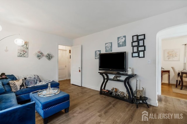 living room with hardwood / wood-style flooring