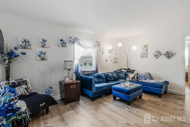 living room featuring hardwood / wood-style floors