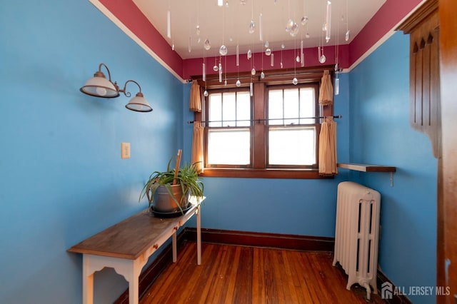 interior space featuring baseboards, radiator heating unit, and wood finished floors