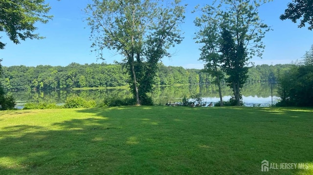 view of yard featuring a water view