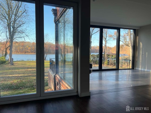 doorway featuring a water view, dark hardwood / wood-style floors, and a wealth of natural light