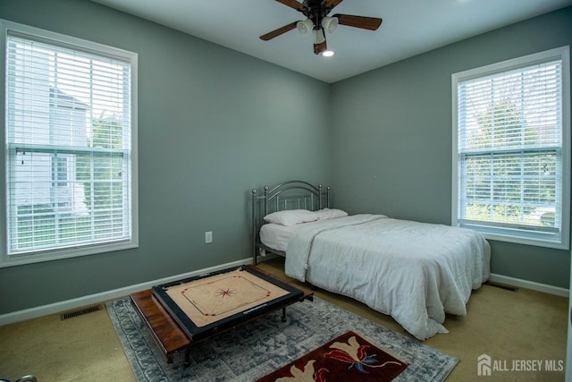23 Keswick Cir, Monroe, NJ 08831 - bedroom featuring multiple windows, baseboards, carpet flooring, and recessed lighting
