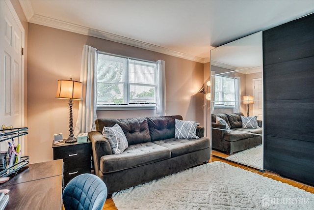 10 Rainbow Dr, Colonia, NJ 07067 - living area featuring wood finished floors, ornamental molding, and plenty of natural light