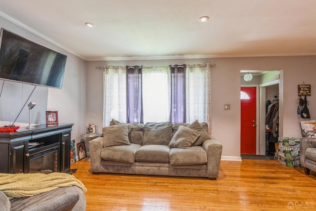 living area with ornamental molding, light wood finished floors, a fireplace, and baseboards