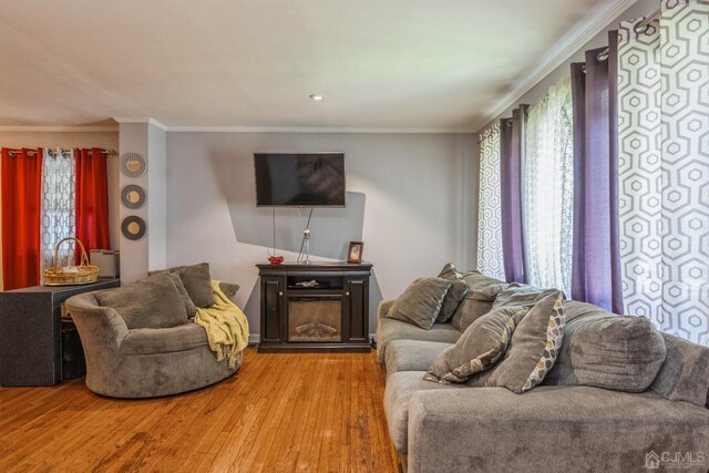 living room with ornamental molding and light hardwood / wood-style floors