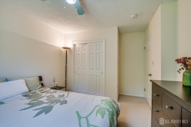 900 Thomas Ave, North Brunswick, NJ 08902 - photo 23