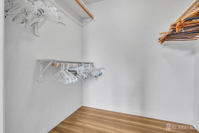 spacious closet featuring wood finished floors