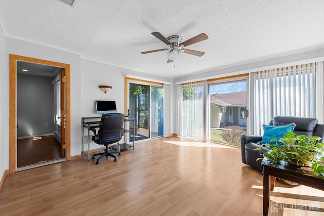 375-C Duranta Plz, Monroe, NJ 08831 - office with a textured ceiling, ceiling fan, wood finished floors, and baseboards