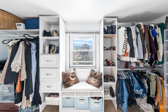 11 Stockton Rd, New Brunswick, NJ 08901 - view of spacious closet