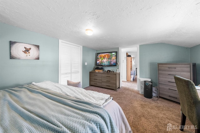 11 Stockton Rd, New Brunswick, NJ 08901 - bedroom featuring carpet, a textured ceiling, and lofted ceiling