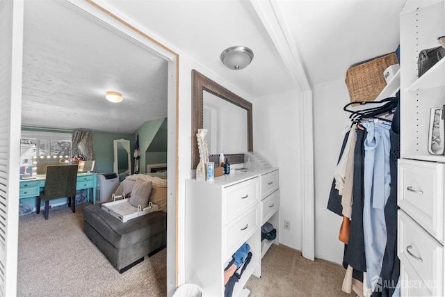 11 Stockton Rd, New Brunswick, NJ 08901 - spacious closet featuring light carpet