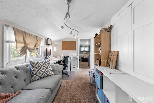 11 Stockton Rd, New Brunswick, NJ 08901 - living room with lofted ceiling, light colored carpet, an office area, and a textured ceiling