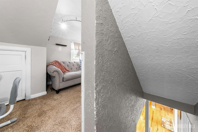 11 Stockton Rd, New Brunswick, NJ 08901 - detailed view of a textured ceiling, a textured wall, and carpet flooring