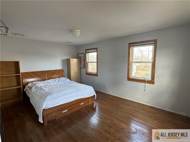 bedroom featuring multiple windows and dark wood-type flooring