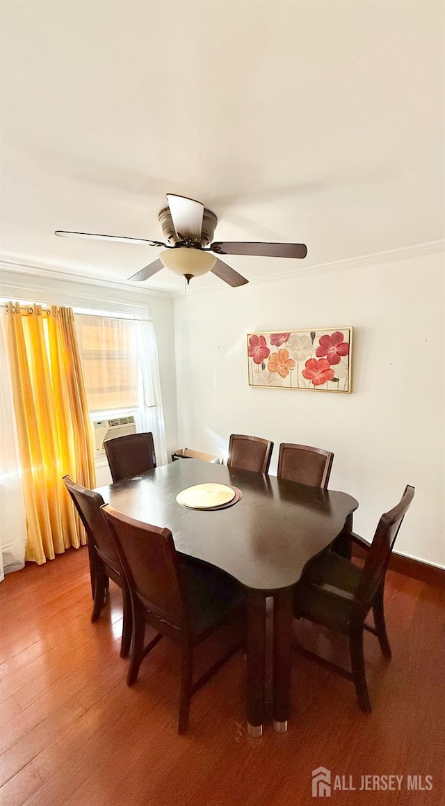25 Langley Pl, New Brunswick, NJ 08901 - photo 7