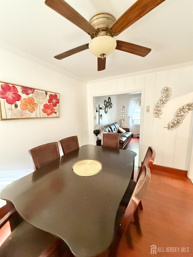 25 Langley Pl, New Brunswick, NJ 08901 - photo 6