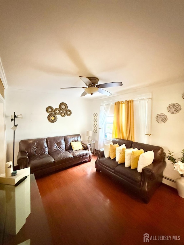 25 Langley Pl, New Brunswick, NJ 08901 - photo 8