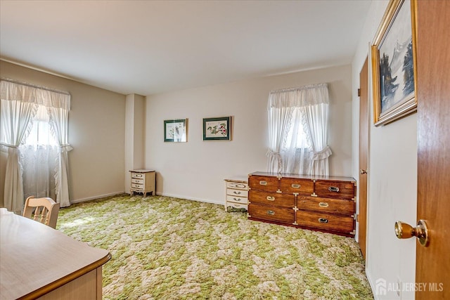 31 Riverview Ter, Hillsborough, NJ 08844 - bedroom featuring multiple windows and carpet floors