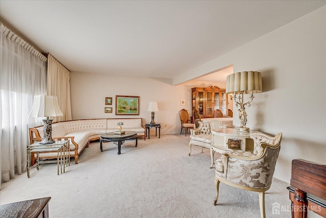 31 Riverview Ter, Hillsborough, NJ 08844 - living area featuring carpet