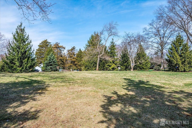 31 Riverview Ter, Hillsborough, NJ 08844 - view of green lawn