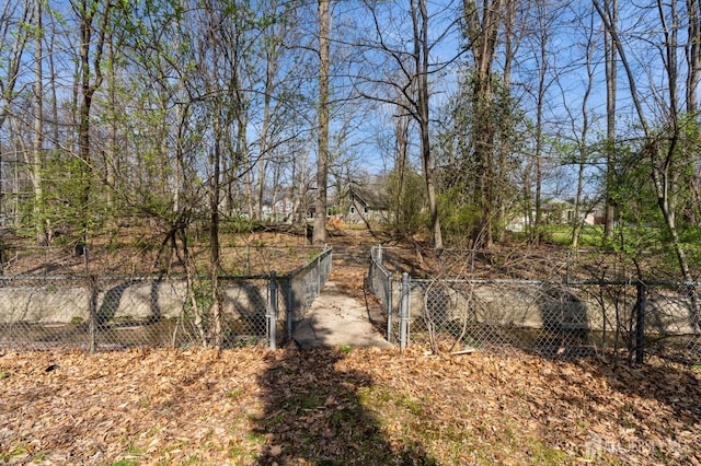 view of local wilderness