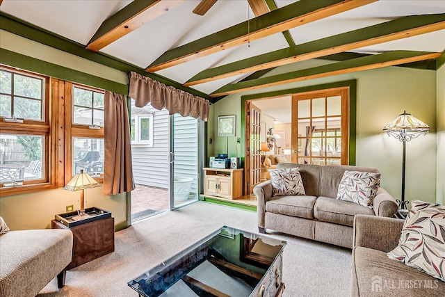 view of carpeted living area