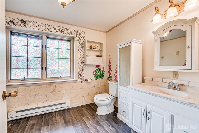 40 Hastings Rd, South Brunswick, NJ 08824 - bathroom with a baseboard heating unit, ornamental molding, vanity, plenty of natural light, and toilet