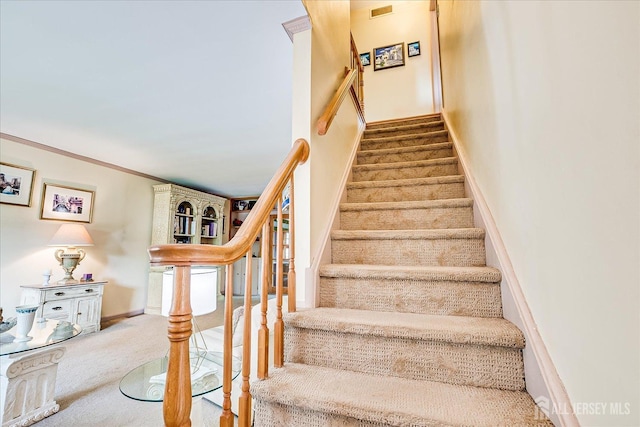 stairs featuring carpet floors and baseboards