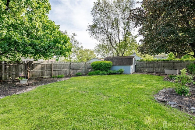 view of yard with a storage shed and an outbuilding