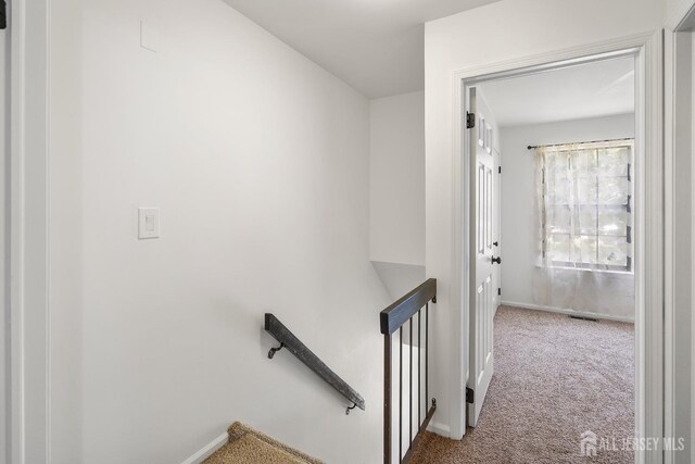 804 Timber Oaks Rd, Edison, NJ 08820 - photo 16