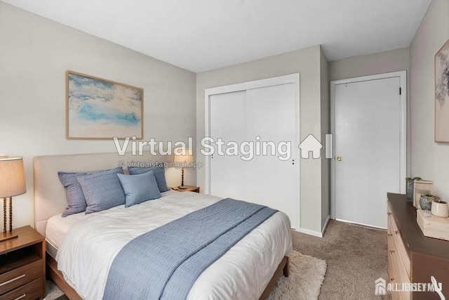 31 Hanover Sq, Middlesex, NJ 08846 - carpeted bedroom featuring a closet and baseboards