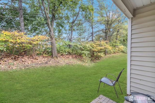 31 Hanover Sq, Middlesex, NJ 08846 - view of grassy yard