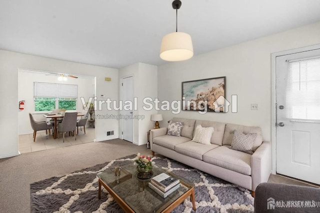 31 Hanover Sq, Middlesex, NJ 08846 - carpeted living area with healthy amount of natural light and ceiling fan
