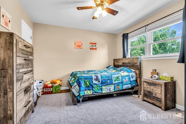 14 Academic Rd, East Brunswick, NJ 08816 - bedroom with carpet floors and a ceiling fan