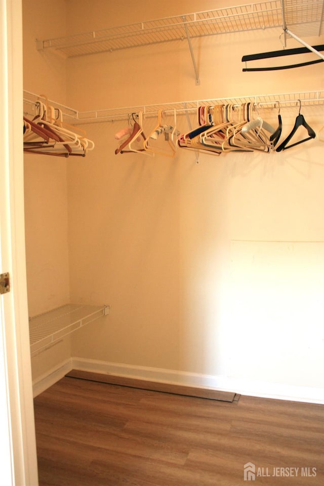spacious closet with wood finished floors