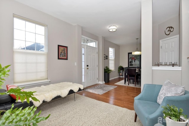 foyer entrance featuring baseboards, wood finished floors, and a healthy amount of sunlight