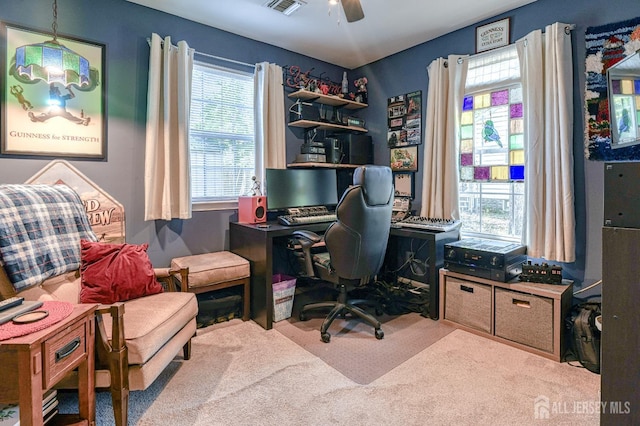 312 Bunnell Pl, Lacey, NJ 08731 - home office with carpet and healthy amount of natural light