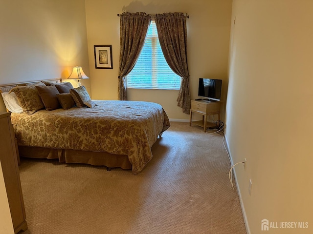 17-D Rutland Ln Unit D, Monroe, NJ 08831 - photo 37
