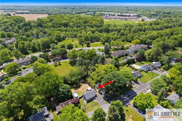 aerial view of a forest