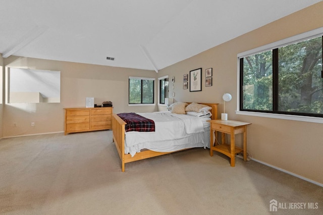 473 E Sayre Dr, Middlesex, NJ 08540 - carpeted bedroom featuring multiple windows and lofted ceiling