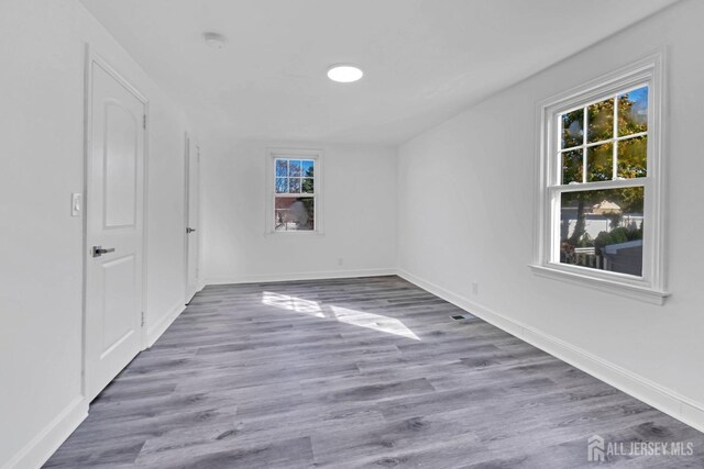 empty room featuring plenty of natural light and wood-type flooring