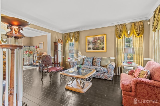 living area featuring crown molding and wood finished floors