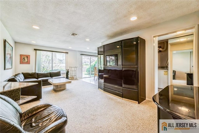 159 Pitman Rd Unit C, Monroe, NJ 08831 - living area featuring carpet, a textured ceiling, and recessed lighting
