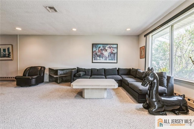 159 Pitman Rd Unit C, Monroe, NJ 08831 - living room with recessed lighting, carpet flooring, and a wealth of natural light