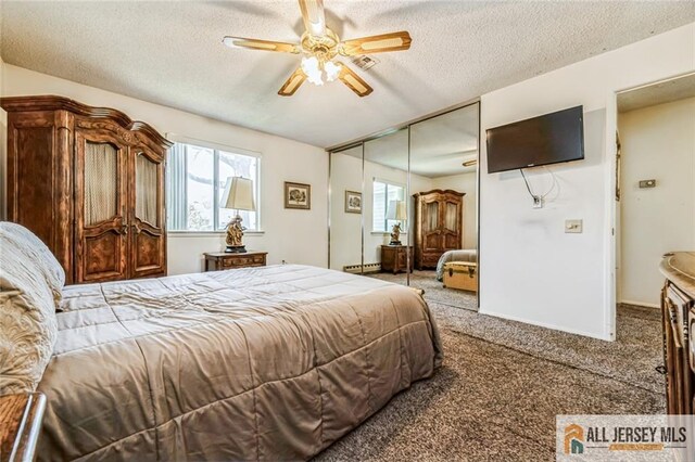 159 Pitman Rd Unit C, Monroe, NJ 08831 - bedroom with multiple windows, carpet, a textured ceiling, a ceiling fan, and a closet