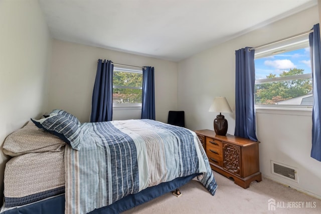 carpeted bedroom featuring multiple windows